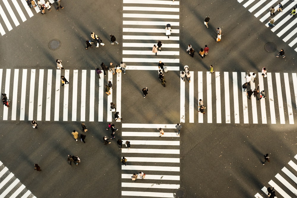 aerial view photography of people crossing road