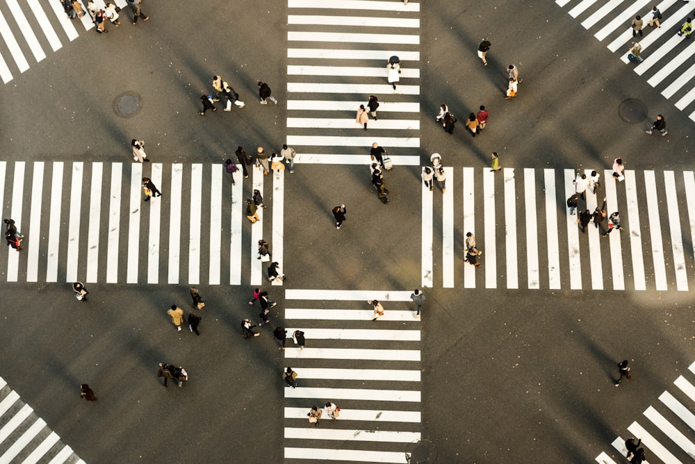 道路を横断する人々の航空写真