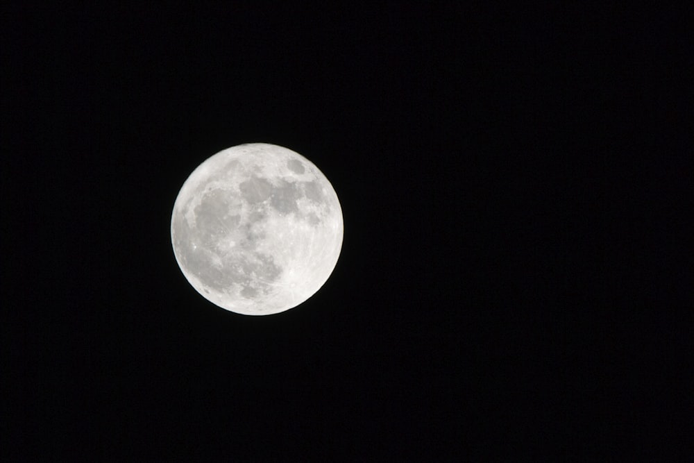 moon against back background