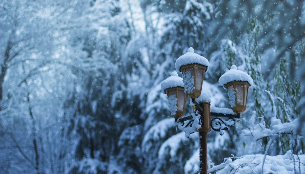 brown metal framed lawn post light covered by snow near trees at daytime