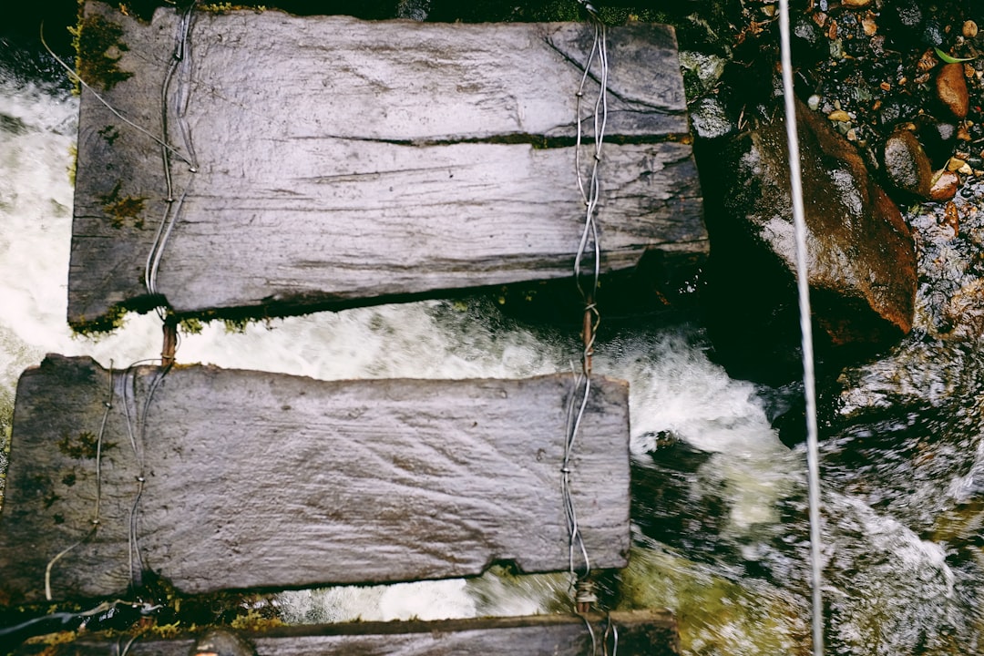 shallow focus photography of brown wooden bridge