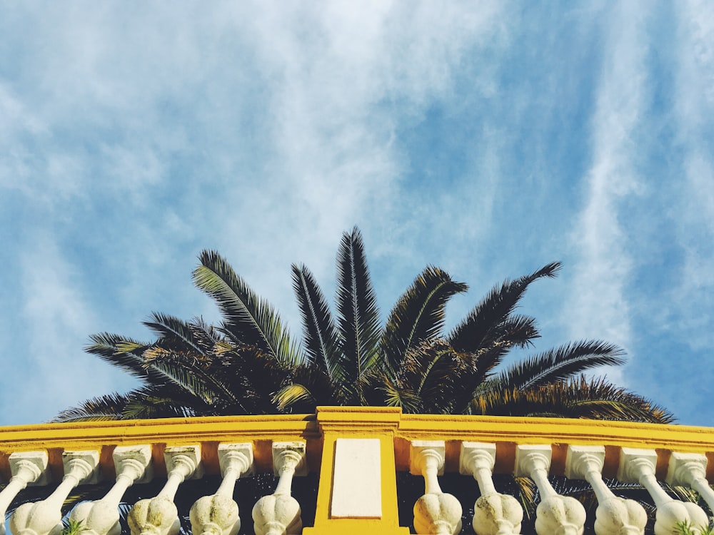 low angle photography of palm tree and rail