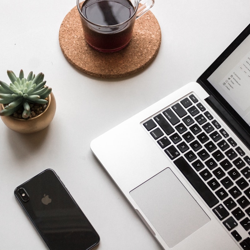 Minimalist laptop + desk plant