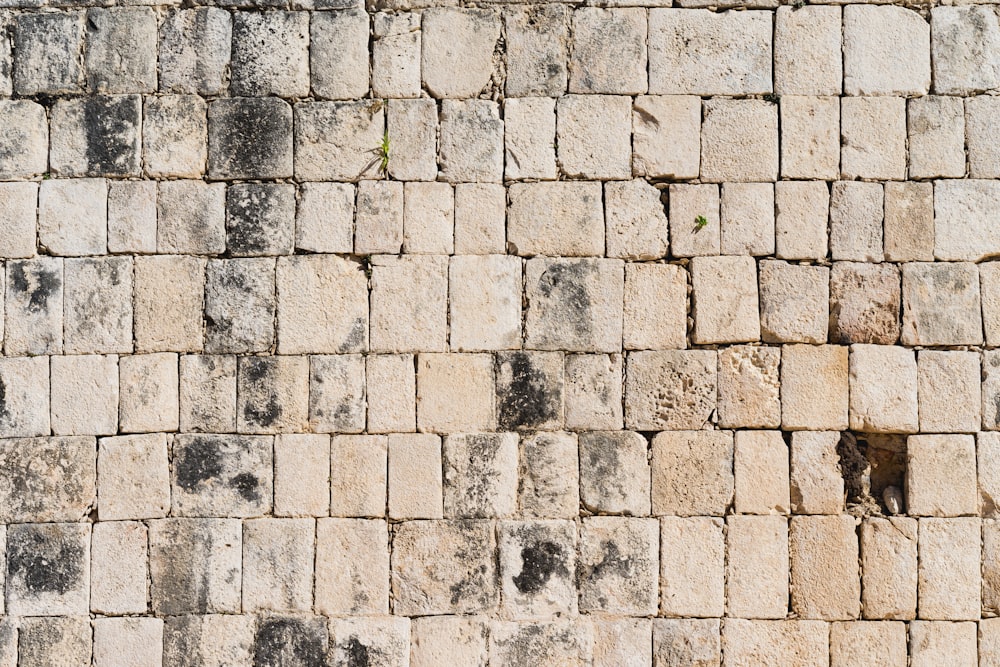 a close up of a wall made of bricks