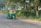 A green auto rickshaw is moving on a road lined with lush trees and dense vegetation. The driver is visible inside the vehicle, and the scene conveys a sense of motion with the blurred background.