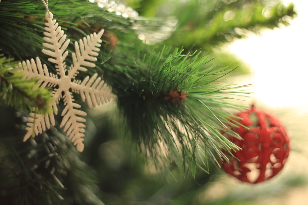 closeup photo of two snowflakes and bauble decors