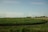 A vast field with rows of green crops stretches out towards the horizon, lined by numerous white wind turbines in the distance. The sky is clear, with a few scattered clouds, suggesting a bright and calm day. Trees are visible at the edge of the field, adding to the serene rural landscape.