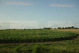 A vast field with rows of green crops stretches out towards the horizon, lined by numerous white wind turbines in the distance. The sky is clear, with a few scattered clouds, suggesting a bright and calm day. Trees are visible at the edge of the field, adding to the serene rural landscape.