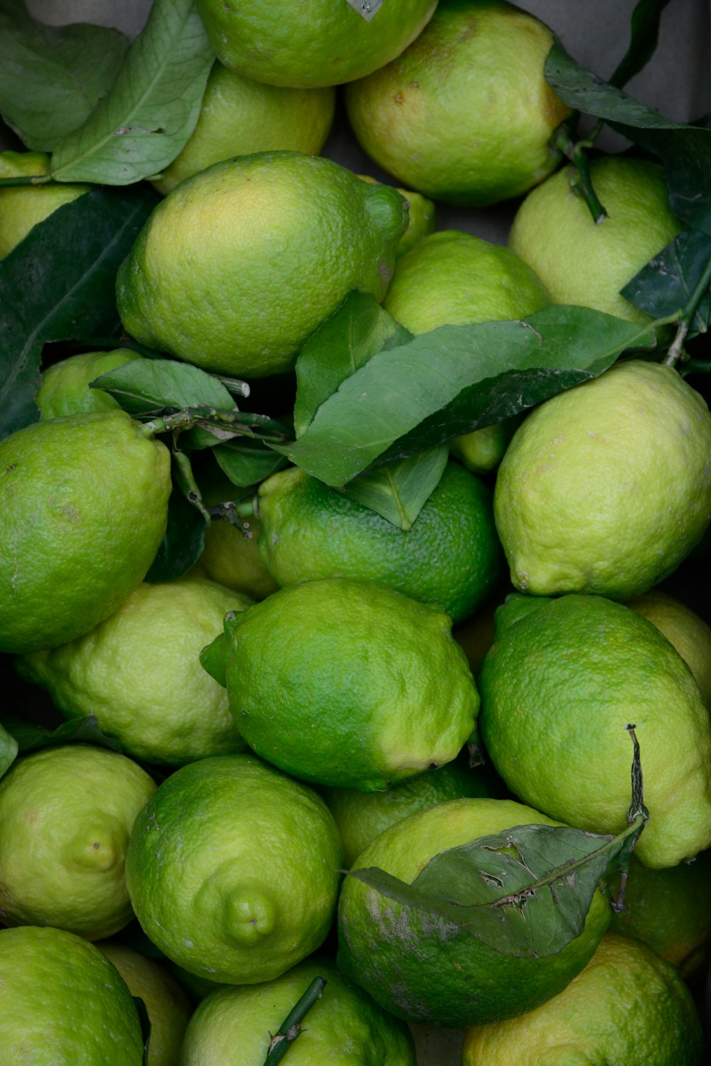 bunch of green guavas