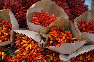 Bundles of vibrant red, orange, and green chili peppers are neatly arranged in brown paper wrappers. The peppers create a colorful and lively display, with their glossy surfaces catching the light.
