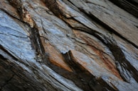 The image features a close-up view of a rock surface, showcasing intricate patterns and textures formed by layers of sedimentary material. The rock displays a mix of blue, gray, and brown hues, with visible striations and rough textures.