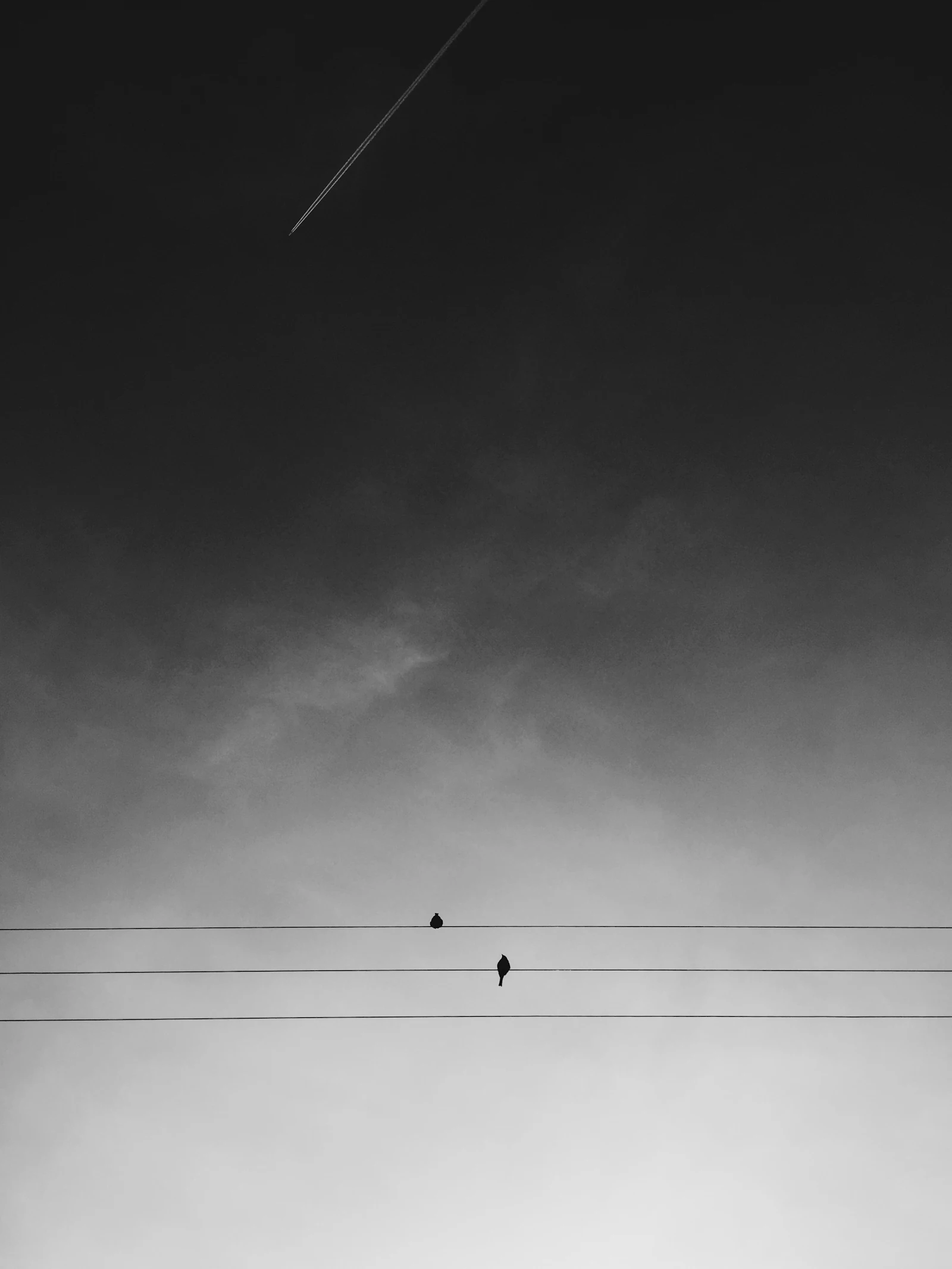 Placeholder — two birds on a wire against an empty sky