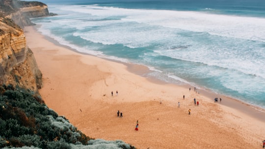 aerial view of shore in Twelve Apostles Australia