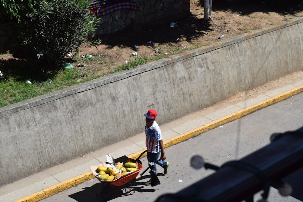 man carrying wheelbarrow on road near tall plant at daytime