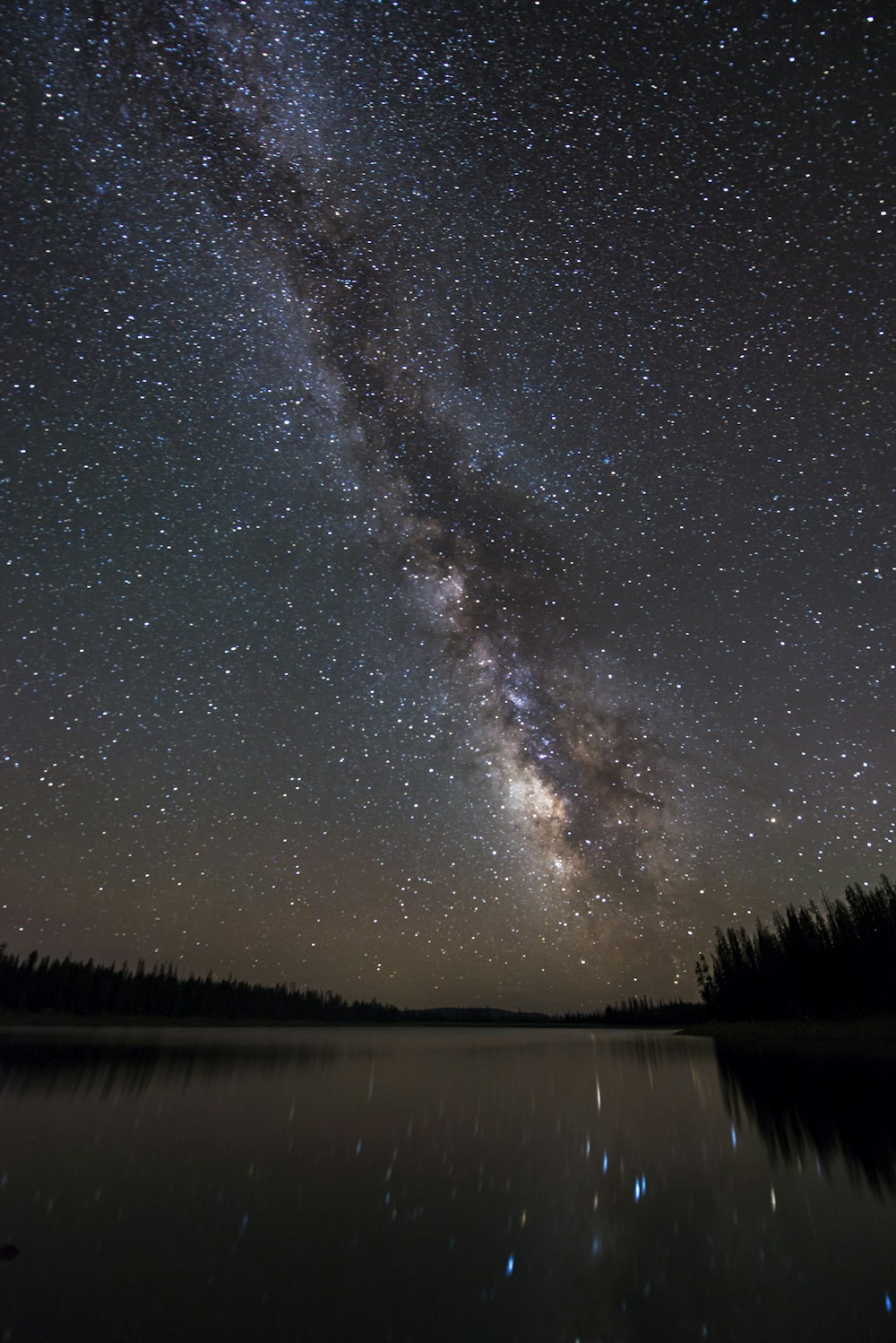 calm body of water near trees under milky way