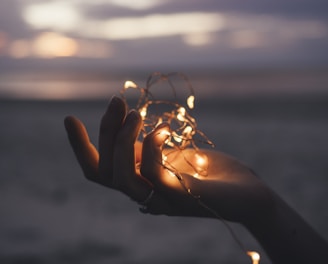 selective focus photography of person holding lighted brown string light