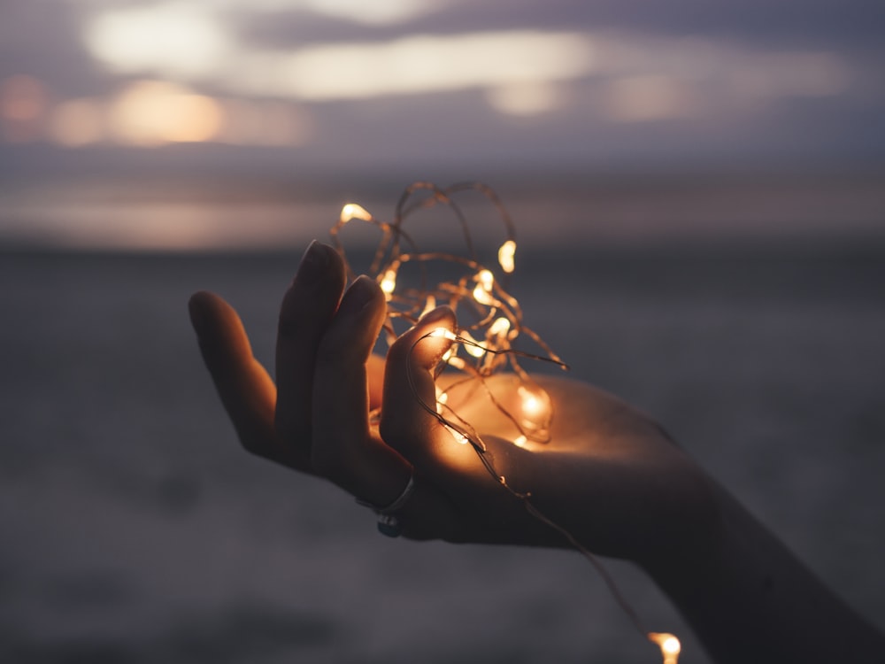 selective focus photography of person holding lighted brown string light