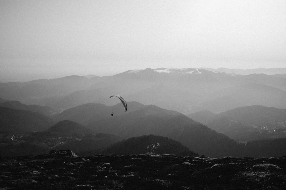 person doing paragliding