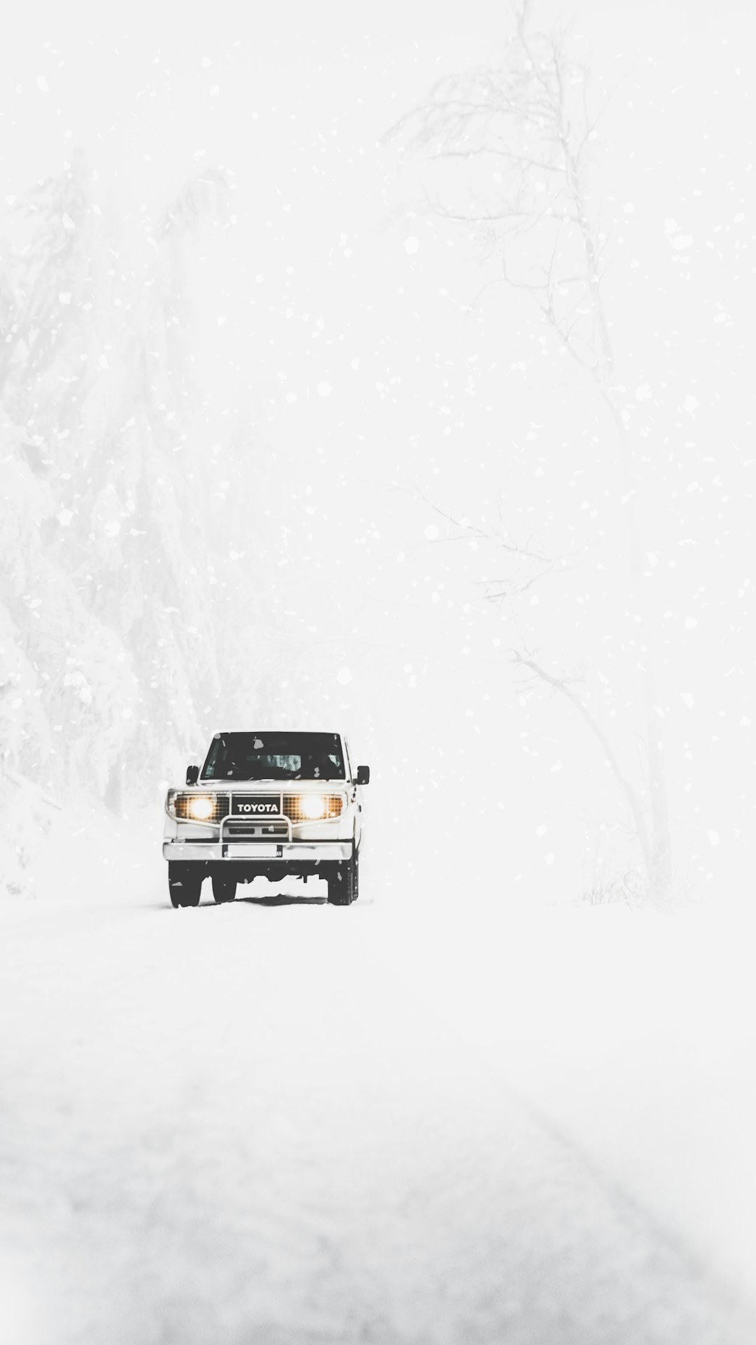Toyota Land Cruiser in snow storm