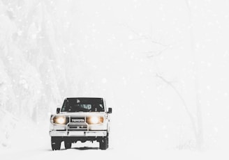 Toyota SUV covered with snow