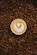 top view photography of heart latte coffee