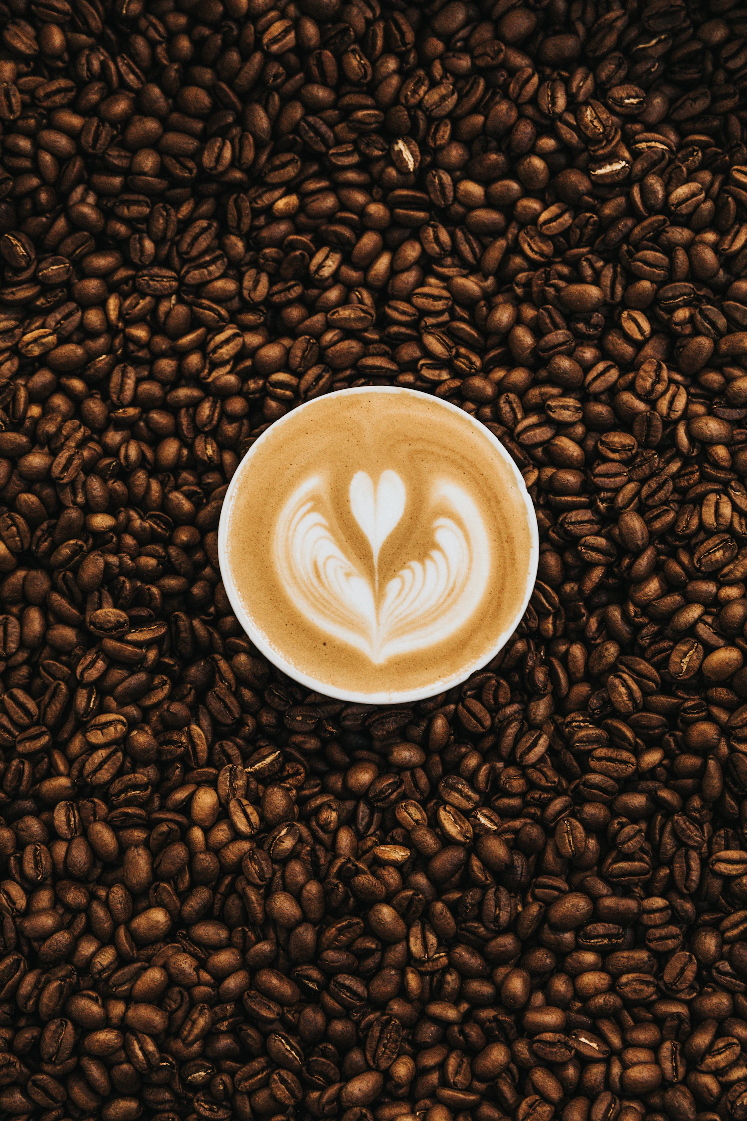 Flat white con latte art de rosetta