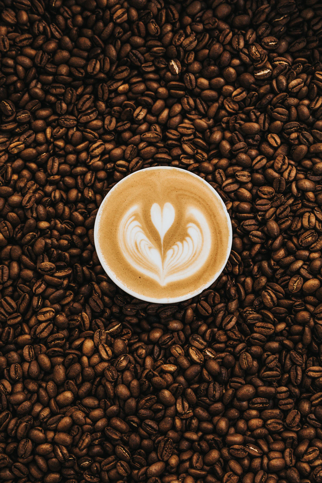 Pianta e raccolta del caffè