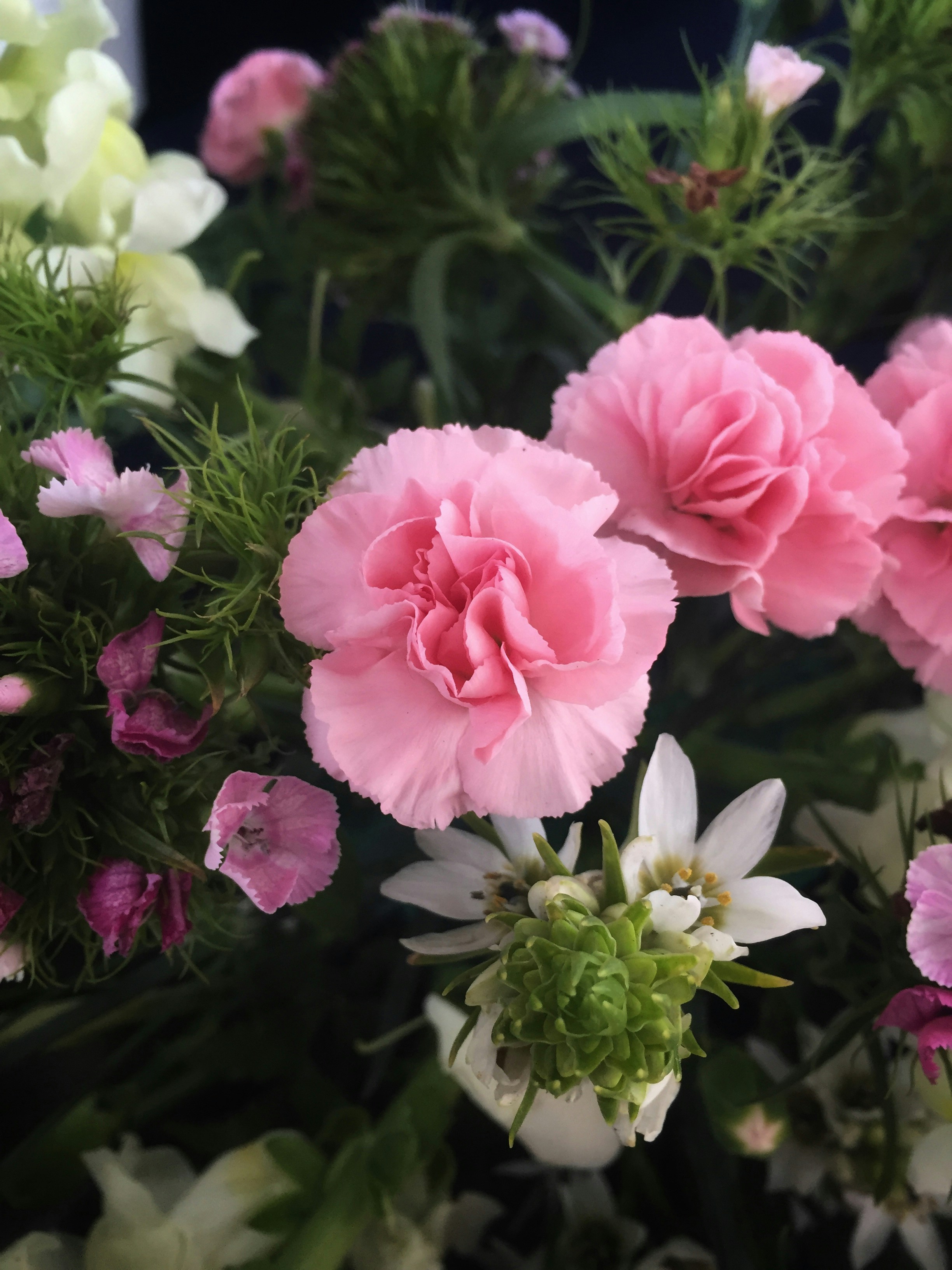 Ramos de Flores Frescas