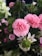 A bouquet of various flowers features prominently, including pink carnations, delicate white flowers, and lush green foliage. The arrangement displays a variety of textures and colors with a natural, fresh appearance.