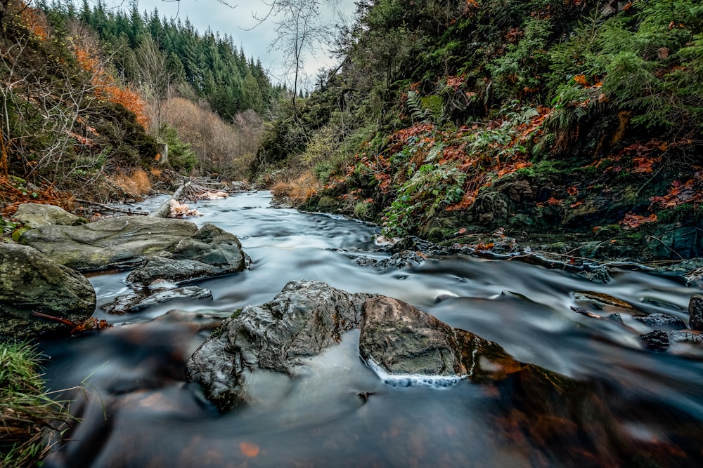 long exposure photography of river