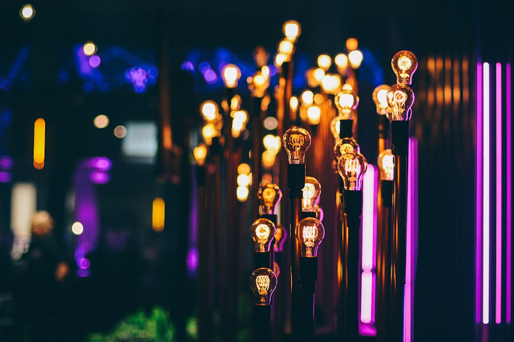 shallow focus photography of yellow light bulbs