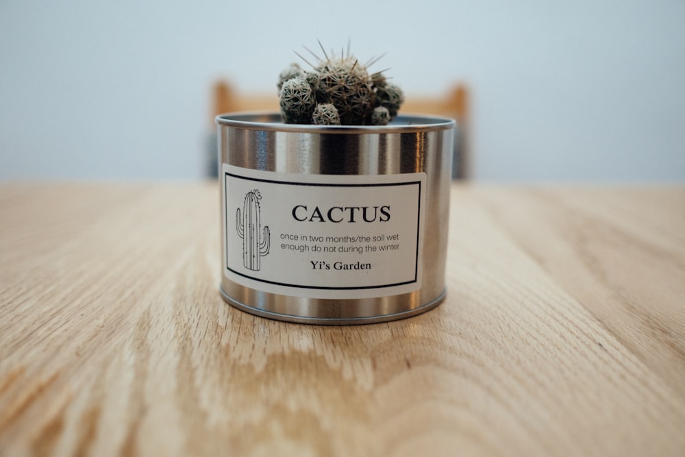 Cactus verde en maceta de acero inoxidable