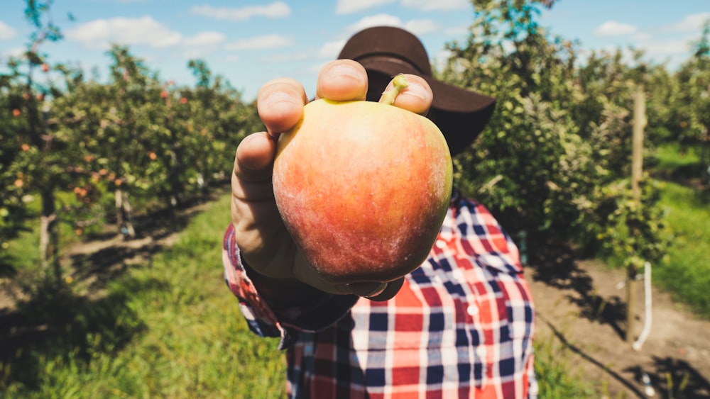 person holding orange apple fruit taken during daytime