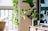 A serene living room with a compact air purifier on a side table, surrounded by houseplants and natural light.