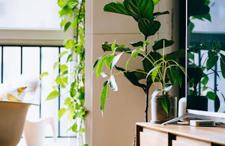 A sleek air purifier glowing softly in a bright, green living room filled with plants.