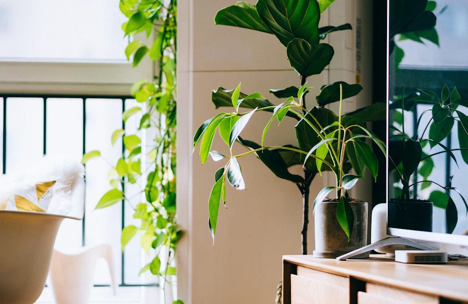 A sleek air purifier glowing softly in a bright, green living room filled with plants.