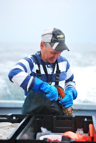A person wearing a striped shirt and a Chevrolet cap is handling a lobster on a boat. They are wearing blue gloves, and there are containers and a cooler on the boat's deck. The ocean is visible in the background.
