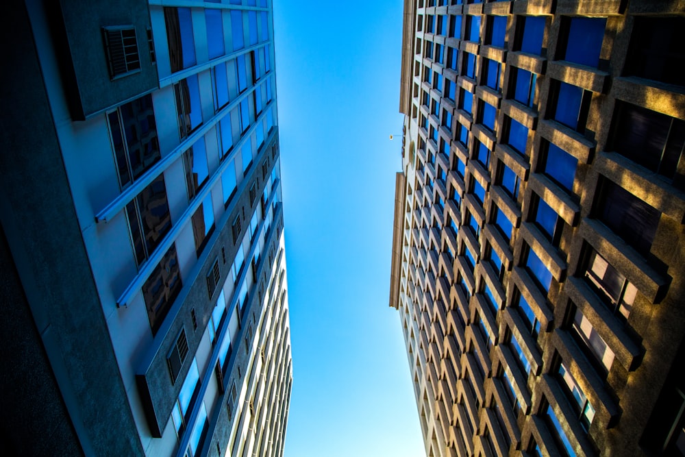 worm's-eye view photography of buildings