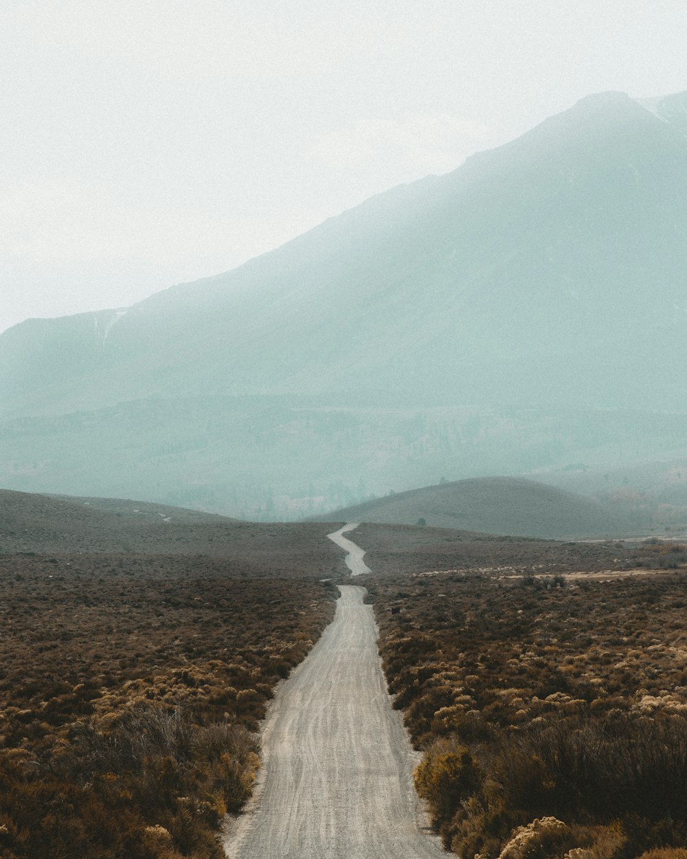 route grise au milieu des arbres