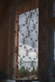 An intricately designed lace curtain partially obscures the view outside. The window reveals a cloudy sky and distant greenery, creating a soft barrier between the interior and the outside world. The curtain pattern features floral and curly motifs, giving a vintage feel.