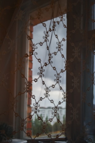 An intricately designed lace curtain partially obscures the view outside. The window reveals a cloudy sky and distant greenery, creating a soft barrier between the interior and the outside world. The curtain pattern features floral and curly motifs, giving a vintage feel.