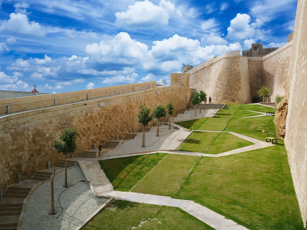 Campo de hierba verde y árboles verdes