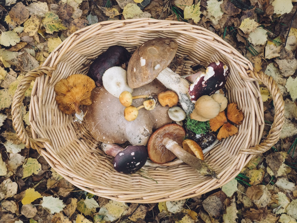 a basket filled with lots of different types of mushrooms