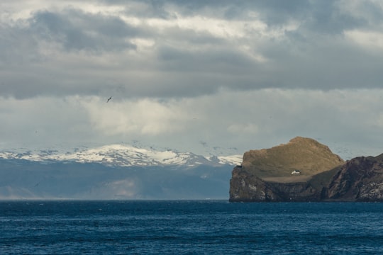 landscape photography of an island and snow covered mountain in Vestmannaeyjar Iceland