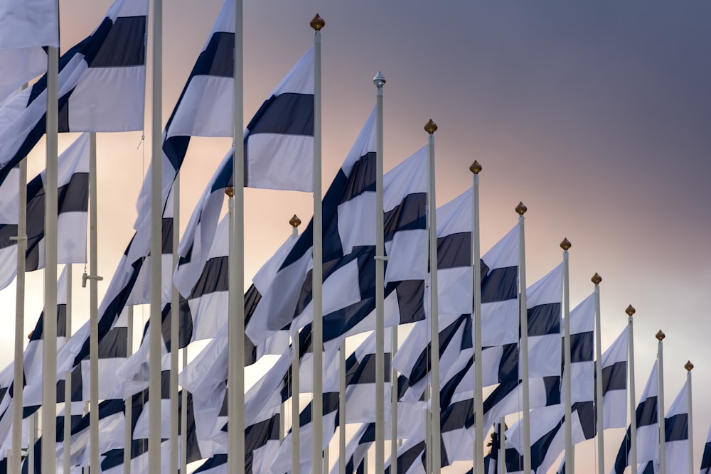 Banderas blancas y negras