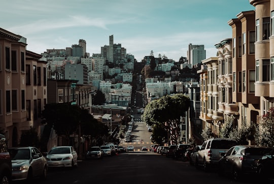 Washington Square things to do in Alamo Square