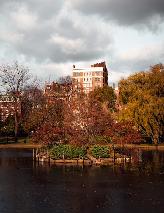 brown concrete building near body of water during daytime in Boston United States