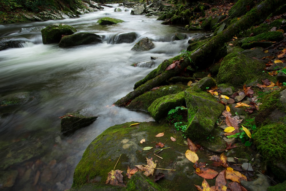 photo of river surrounded by stones