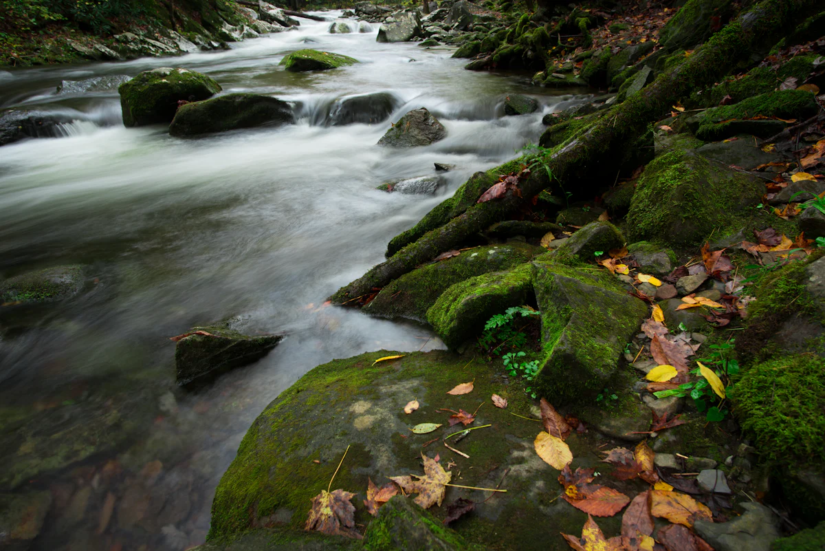 Agaya Gangai Falls