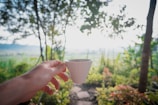 Hands holding a warm cup of organic coffee outdoors surrounded by green leaves.